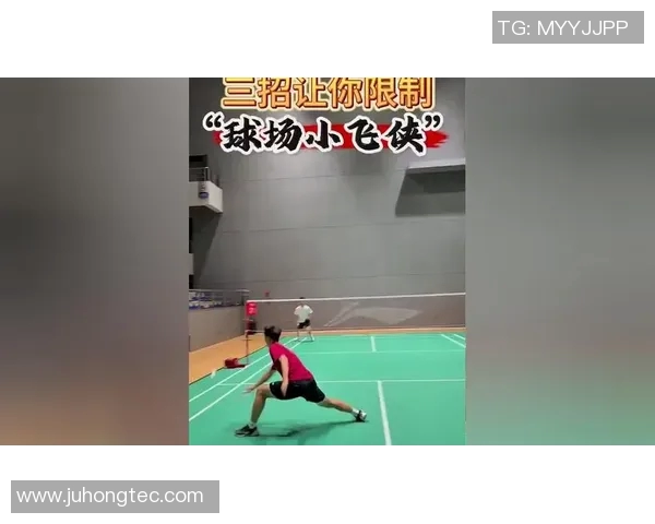 羽毛球深度解析北京羽毛球队反击战术与训练策略的成功之道